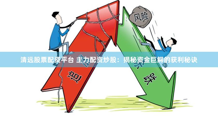 清远股票配资平台 主力配资炒股：揭秘资金巨鳄的获利秘诀