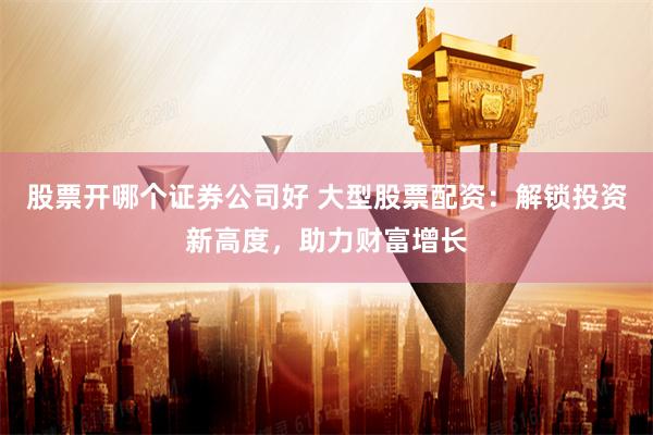 股票开哪个证券公司好 大型股票配资：解锁投资新高度，助力财富增长