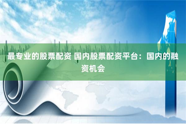 最专业的股票配资 国内股票配资平台：国内的融资机会
