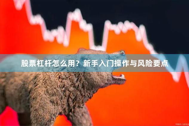 股票杠杆怎么用？新手入门操作与风险要点