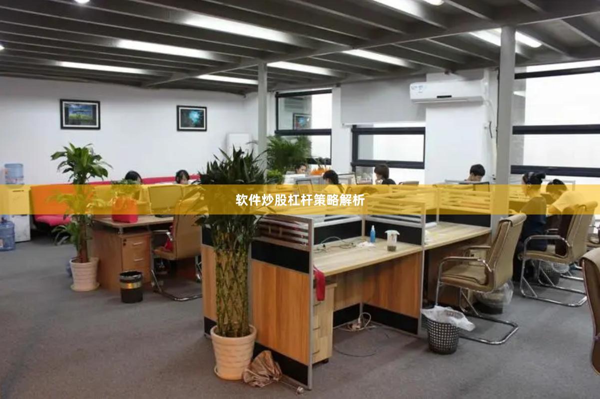 软件炒股杠杆策略解析