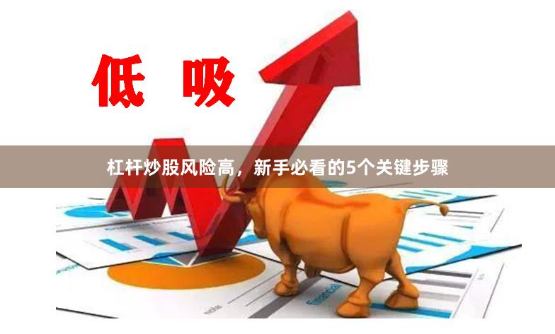 杠杆炒股风险高，新手必看的5个关键步骤