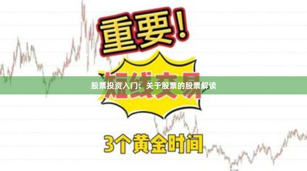 股票投资入门：关于股票的股票解读