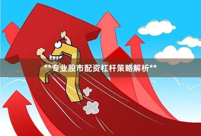 **专业股市配资杠杆策略解析**