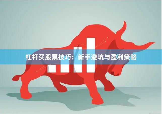杠杆买股票技巧：新手避坑与盈利策略